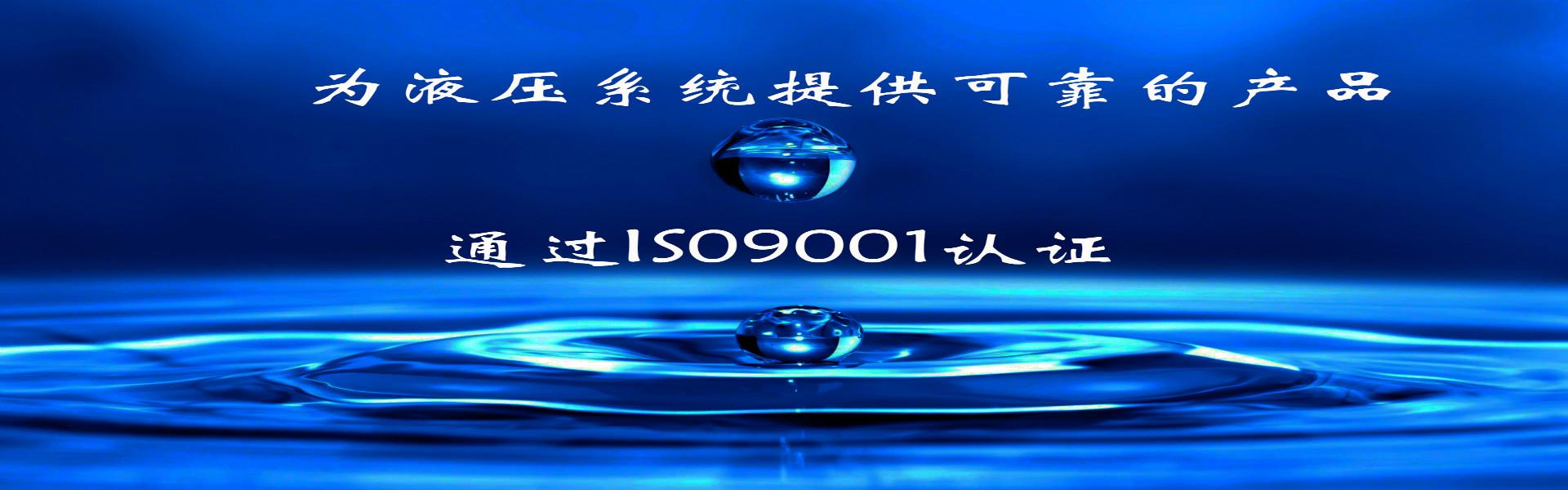 液压站厂家,技术革新与市场发展趋势概览_公司产品_多肉小野猫维密照片在线观看 - 独家写真，揭秘网红私密瞬间​